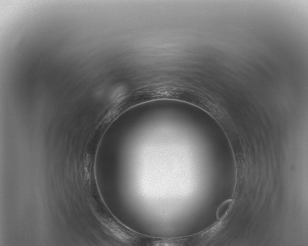 X0000054410174200508051749