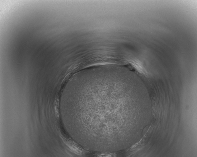 X0000054410175200508051749