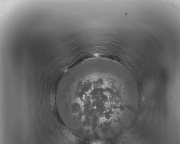 X0000054410177200508051749