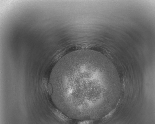 X0000054410178200508051749