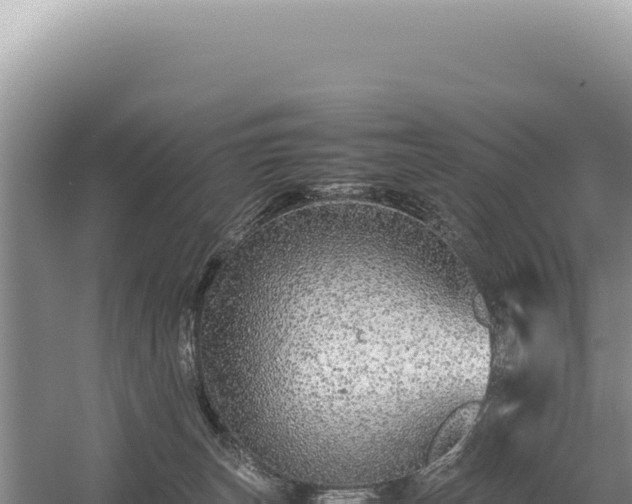 X0000054410179200508051749