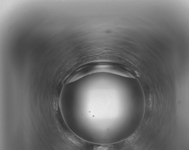 X0000054410180200508051749