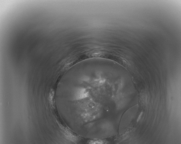 X0000054410181200508051749