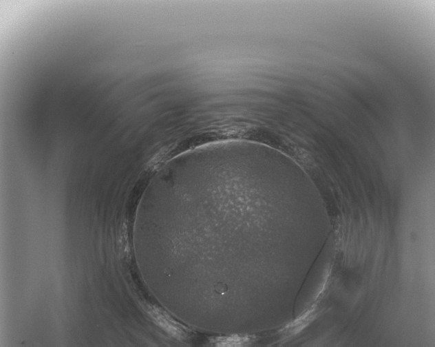 X0000054410182200508051749