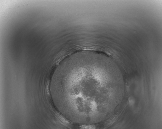 X0000054410185200508051749