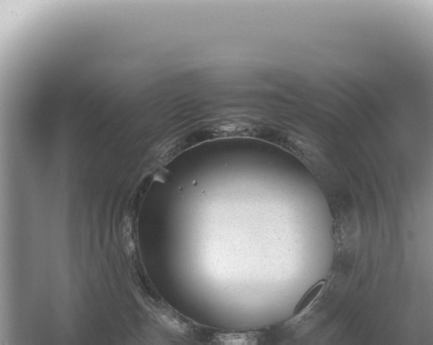 X0000054410187200508051749