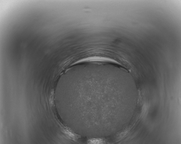 X0000054410189200508051749