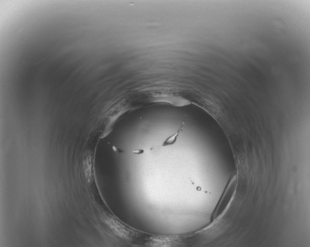 X0000054410190200508051749