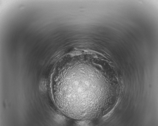 X0000054410191200508051749