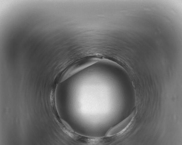 X0000054410192200508051749