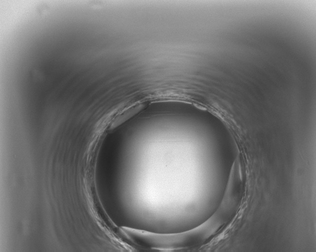 X0000054410193200508051748