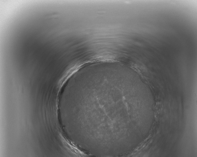 X0000054410194200508051748