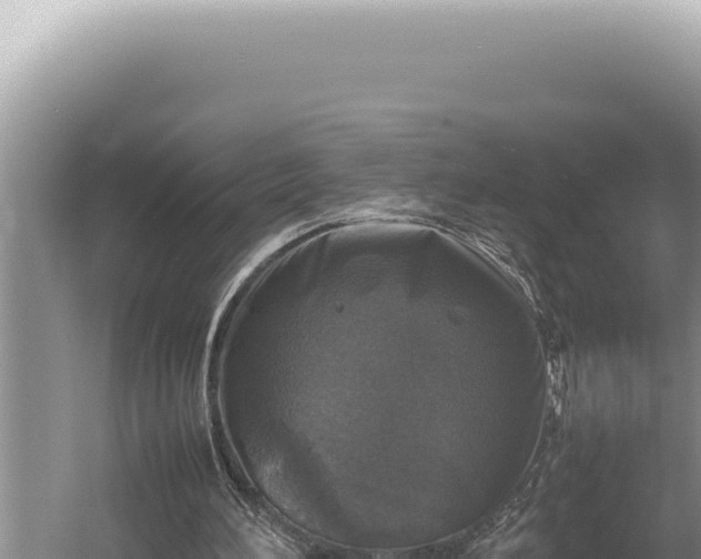 X0000054410196200508051748