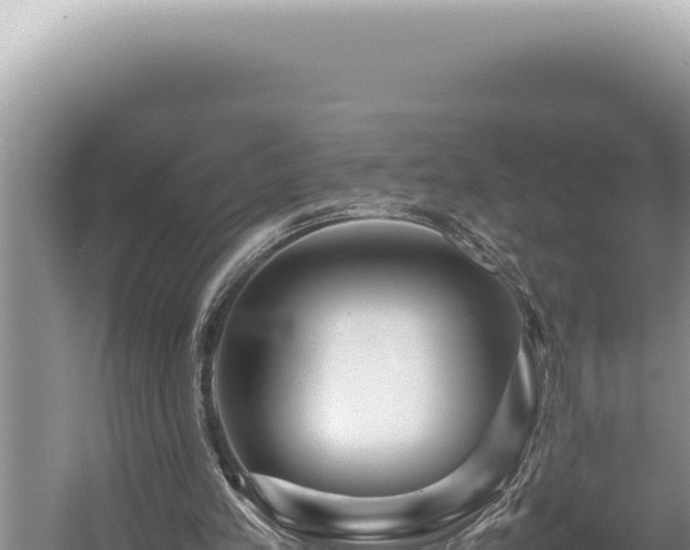 X0000054410197200508051748