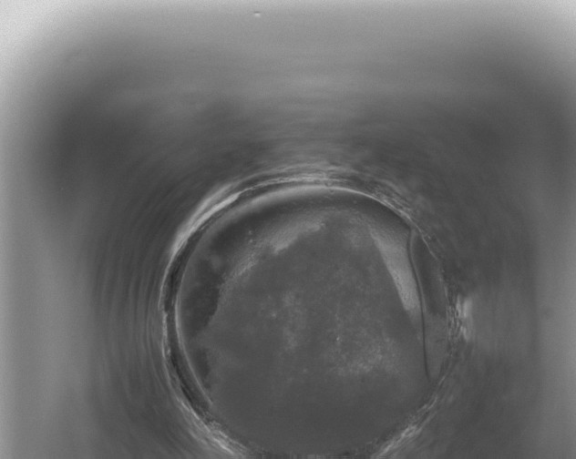 X0000054410198200508051748