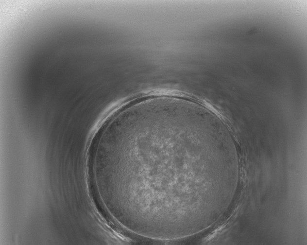 X0000054410199200508051748