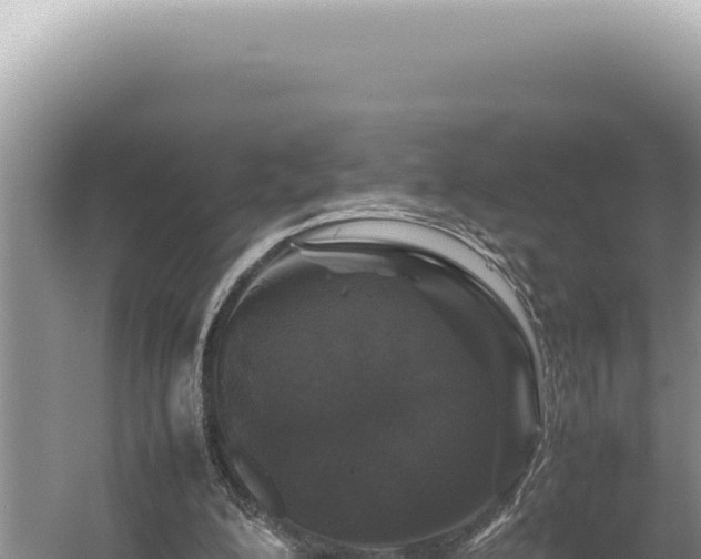 X0000054410200200508051748