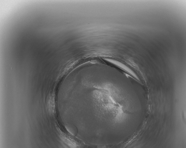 X0000054410202200508051748