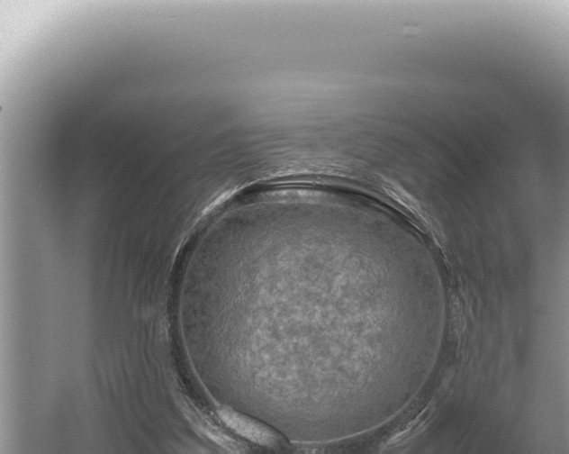 X0000054410203200508051748