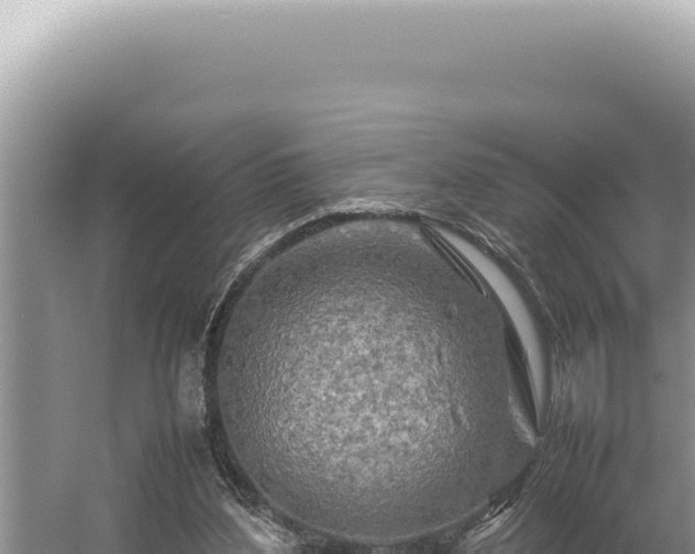 X0000054410204200508051748