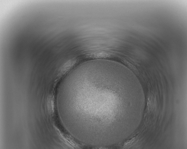 X0000054410206200508051748