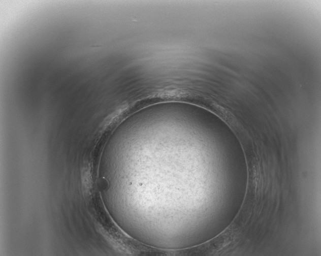 X0000054410208200508051748