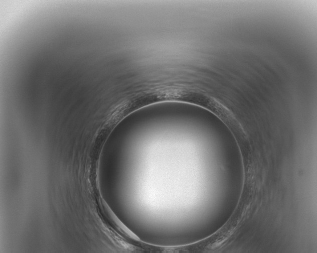 X0000054410209200508051748