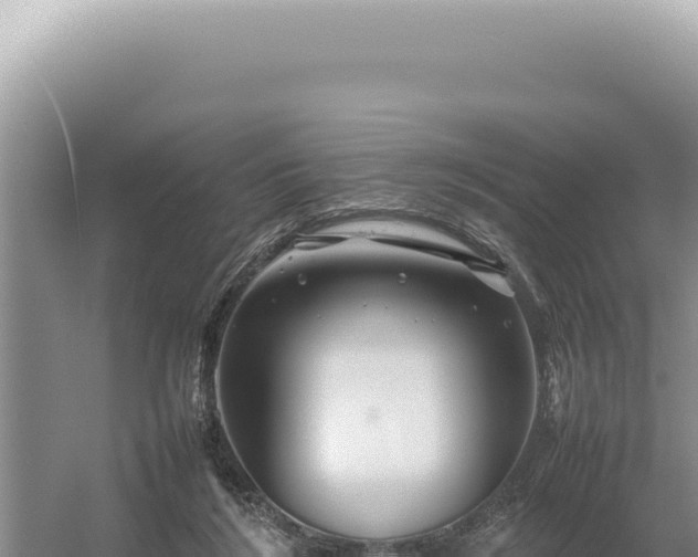 X0000054410212200508051748