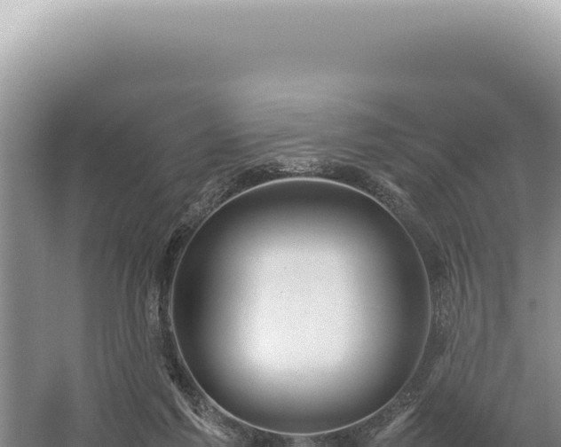 X0000054410213200508051748