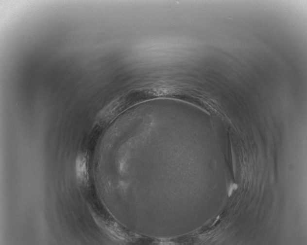 X0000054410214200508051748