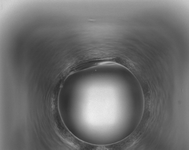 X0000054410215200508051748