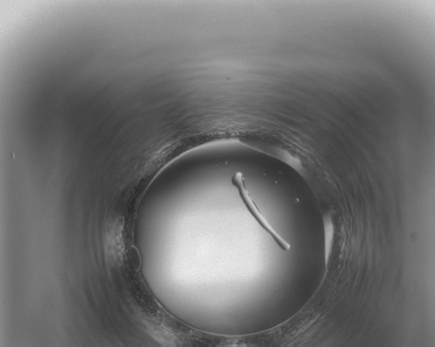 X0000054410216200508051748