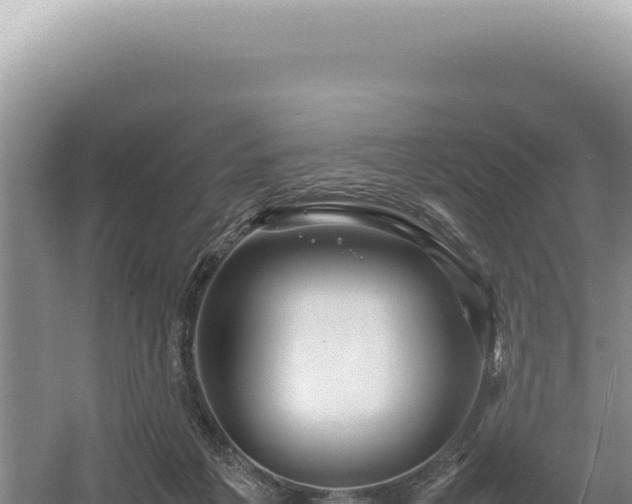 X0000054410217200508051748