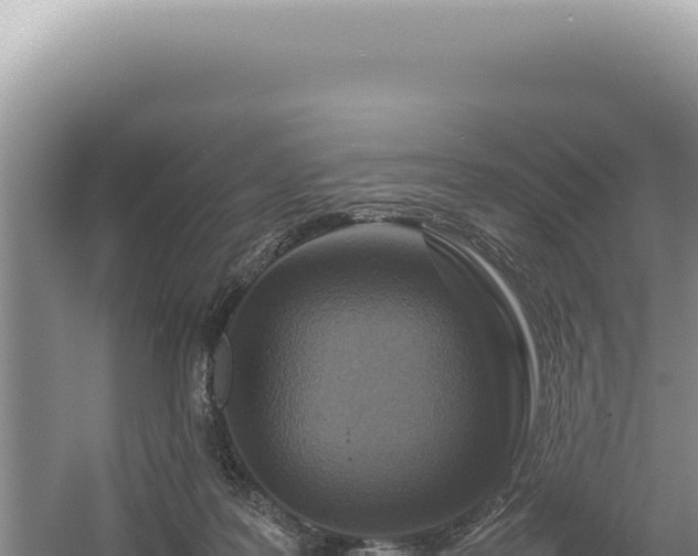 X0000054410219200508051748