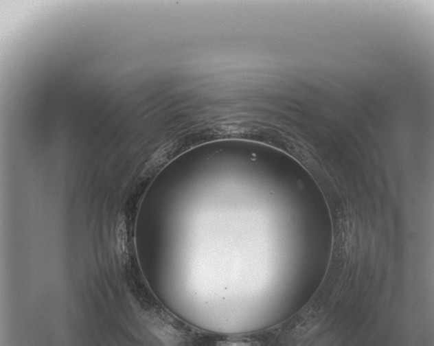 X0000054410220200508051748