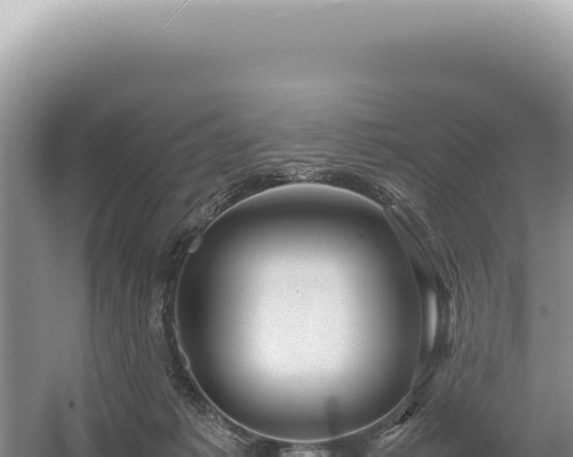 X0000054410221200508051748