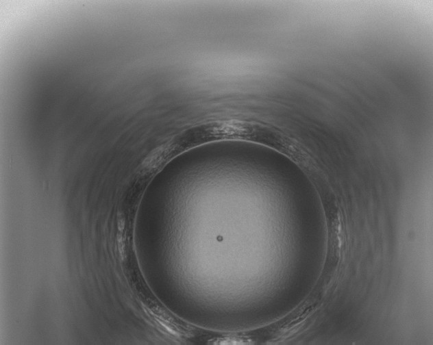 X0000054410223200508051748