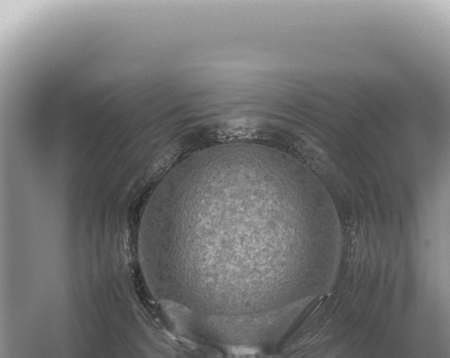 X0000054410224200508051748