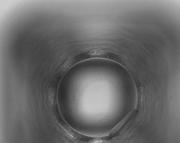 X0000054410227200508051748