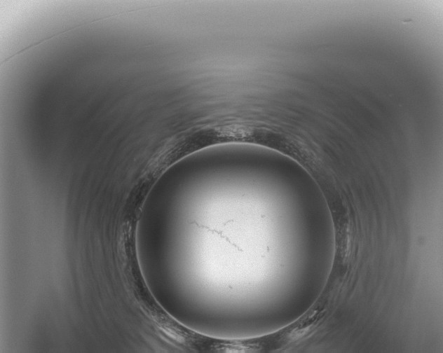 X0000054410229200508051748