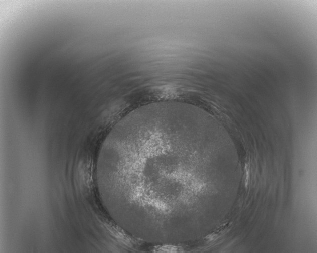 X0000054410230200508051748