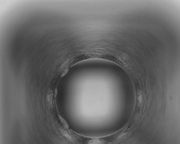 X0000054410231200508051748