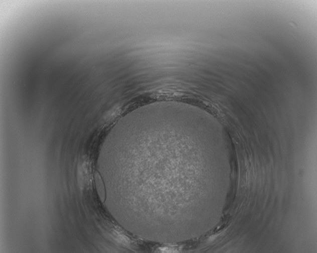 X0000054410232200508051748