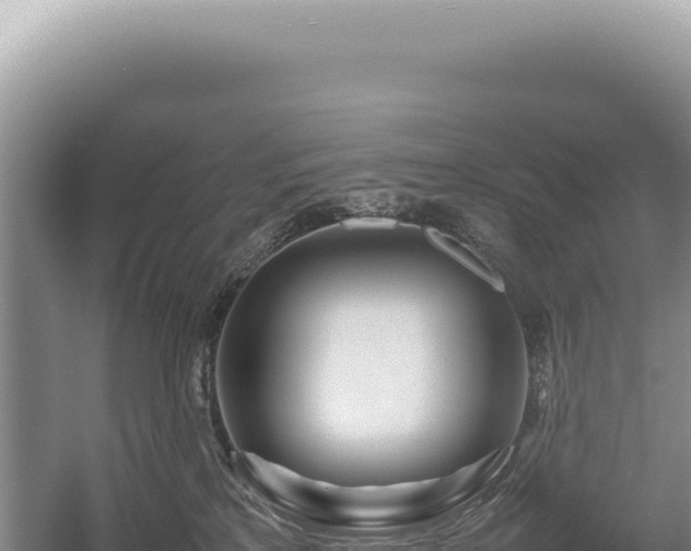 X0000054410233200508051748