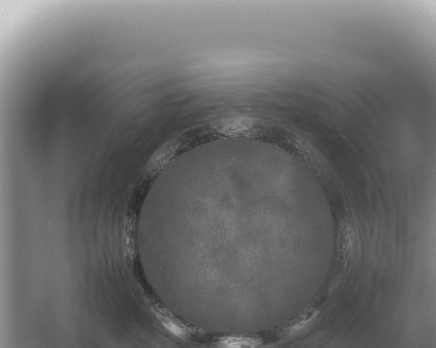 X0000054410234200508051748