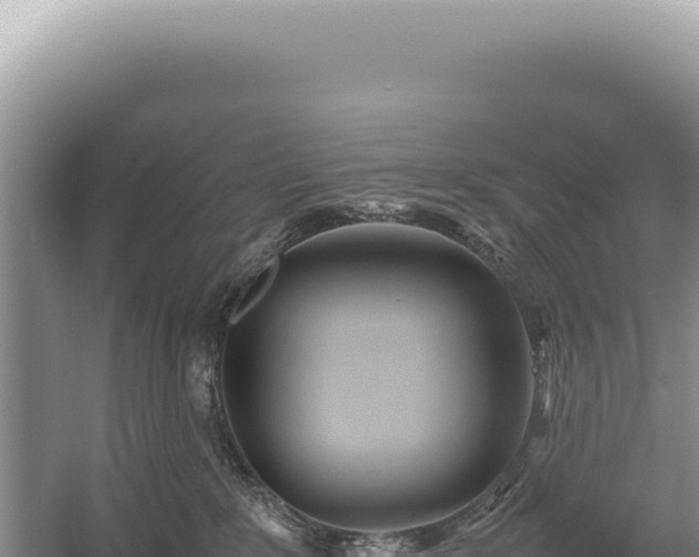 X0000054410235200508051748