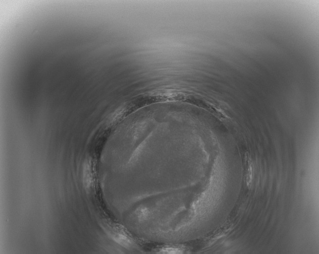 X0000054410236200508051748