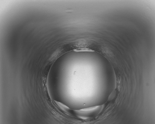 X0000054410237200508051748