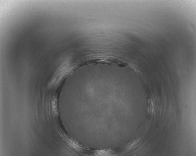 X0000054410238200508051748