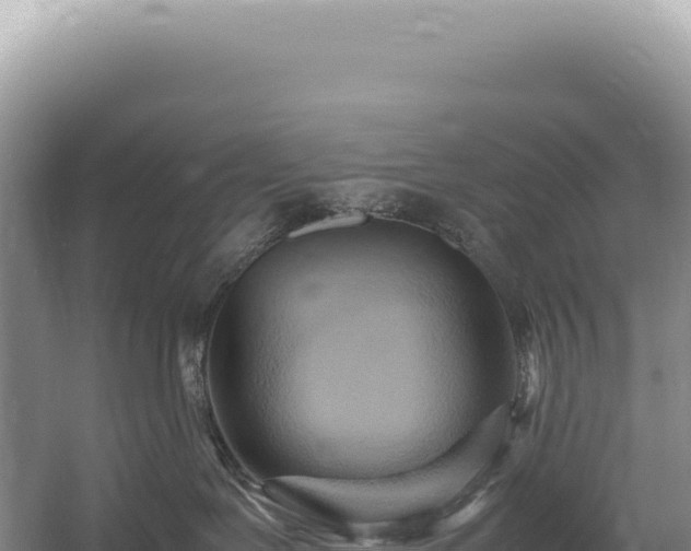 X0000054410239200508051748